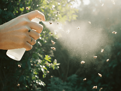 What is best travel bug spray? - All Travel Sizes