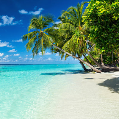 Beach Trip - All Travel Sizes