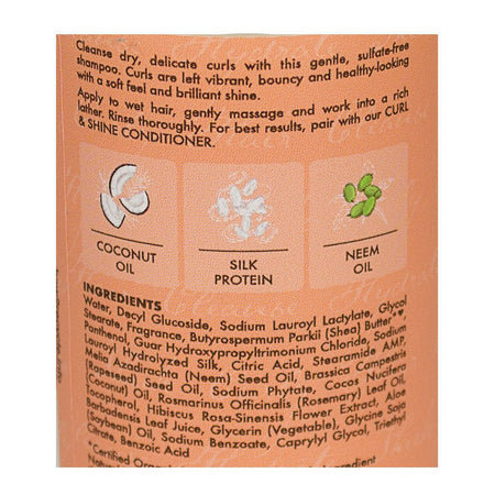 Shea Moisture Coconut Hibiscus Shampoo Curl Plus Shine - 3.2 oz. - All Travel Sizes