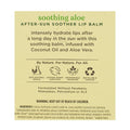 Burt's Bees After Sun Soother Lip Balm - 0.15 oz. - All Travel Sizes