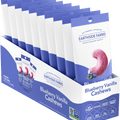 Earthside Farms Blueberry Vanilla Cashews - 1.5 oz - All Travel Sizes