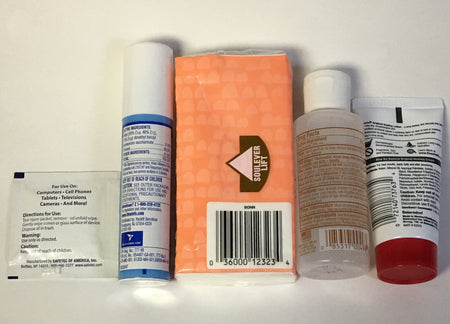 COVID 19 - Go to Work/Store Sanitizing & Care Kit with Lysol To Go, 5 items - All Travel Sizes
